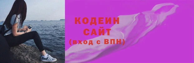 индика Богородицк